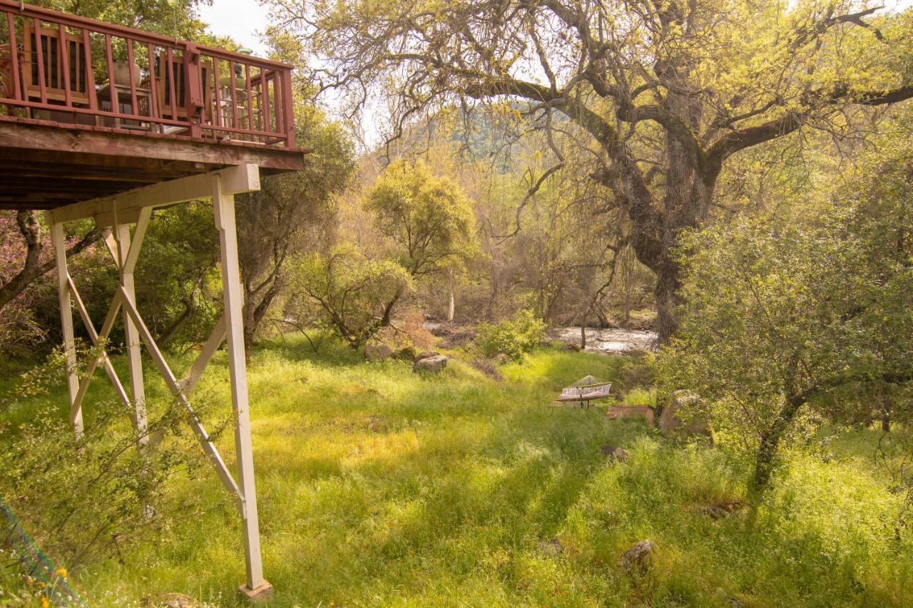 Sequoia South Fork Retreat Villa Three Rivers Dış mekan fotoğraf